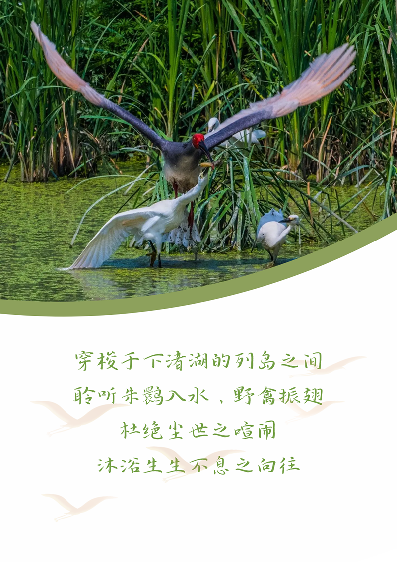 心心念廿 相伴AG真人官方网 | 与德清相约 贺廿载诞辰